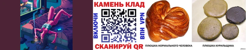 закладки  Михайлов  ГАШ убойный 