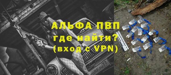 крисы Богданович