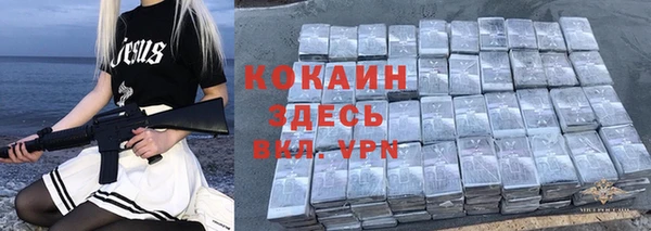 крисы Богданович