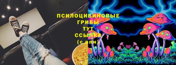 МДПВ Богородск