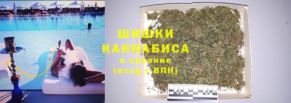 МДПВ Богородск