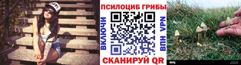 даркнет сайт  Михайлов  Псилоцибиновые грибы Cubensis 